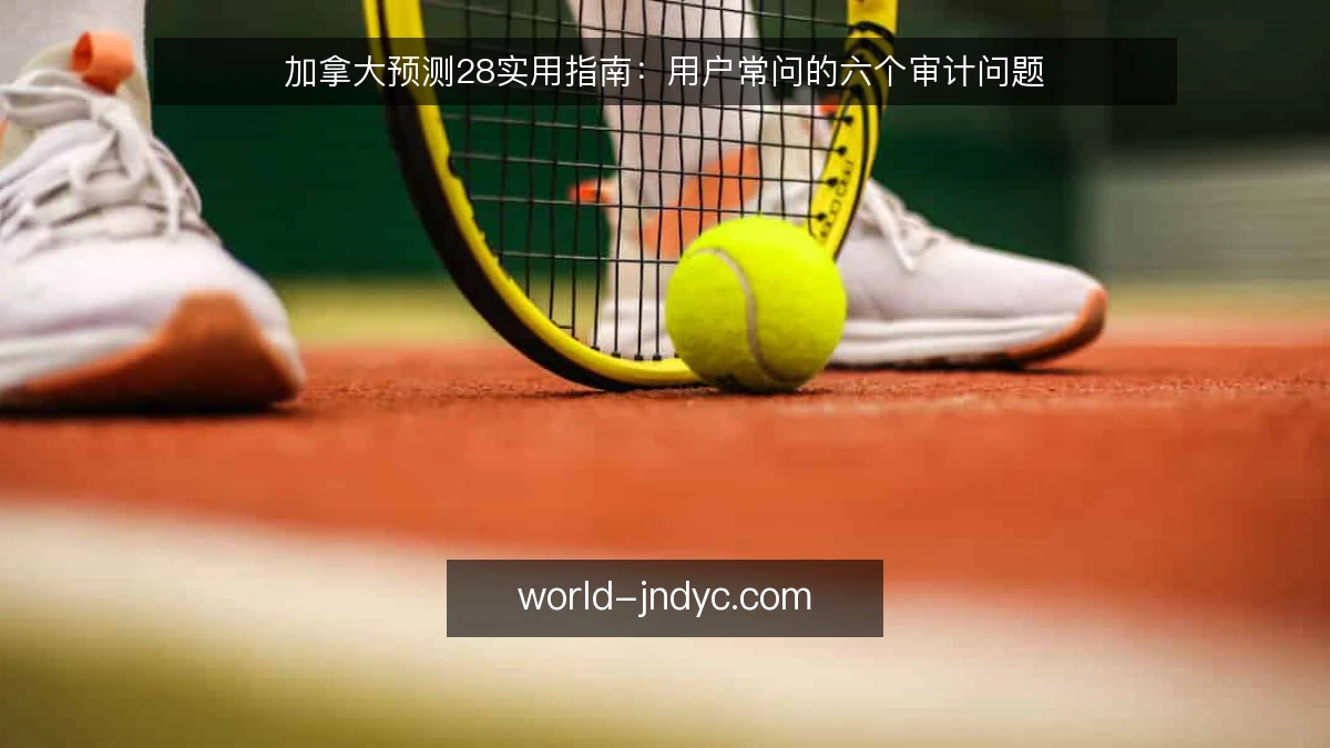 加拿大预测28实用指南:用户常问的六个审计问题