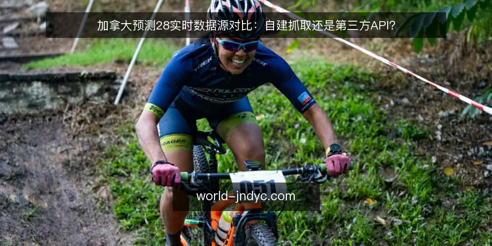 加拿大预测28实时数据源对比:自建抓取还是第三方API? — 两种数据源的核心差异是什么? 配图