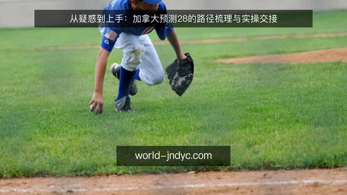 从疑惑到上手：加拿大预测28的路径梳理与实操交接