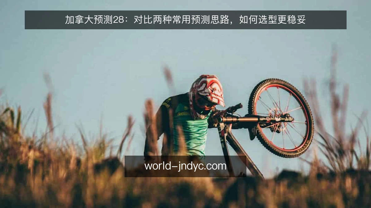 加拿大预测28:对比两种常用预测思路,如何选型更稳妥