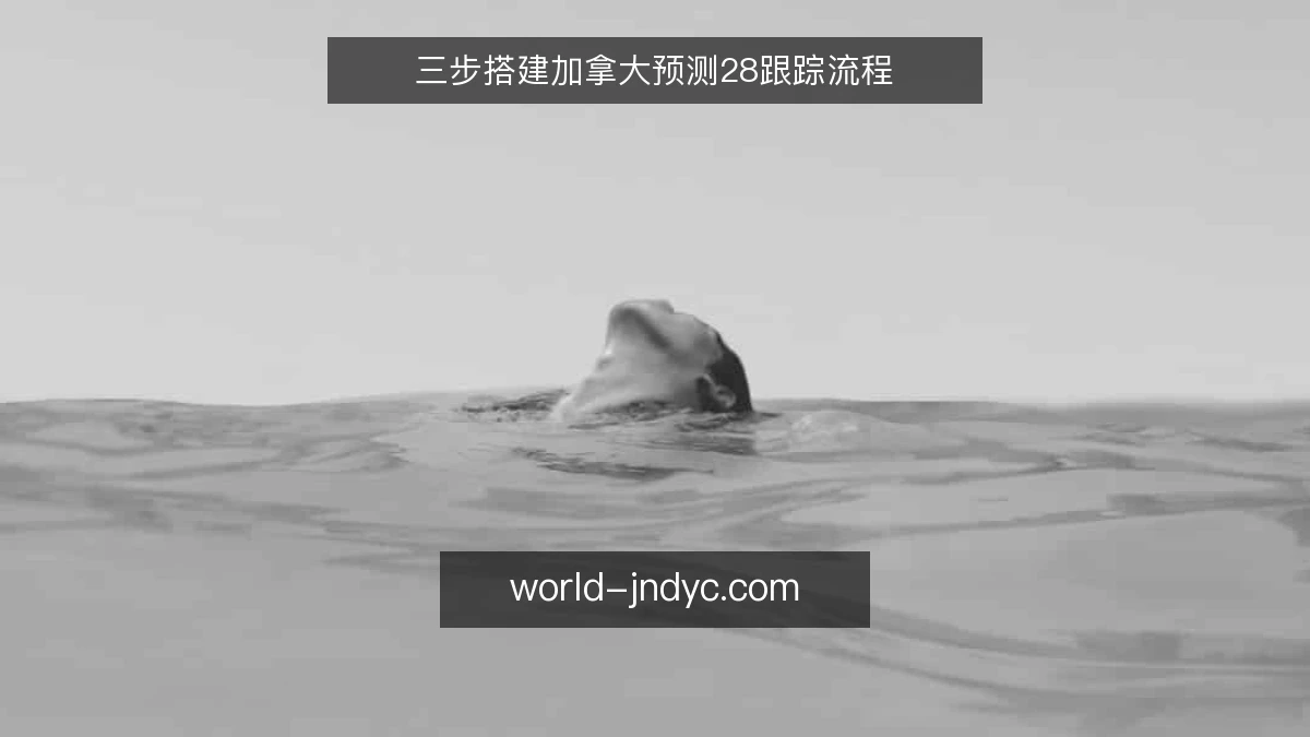 三步搭建加拿大预测28跟踪流程