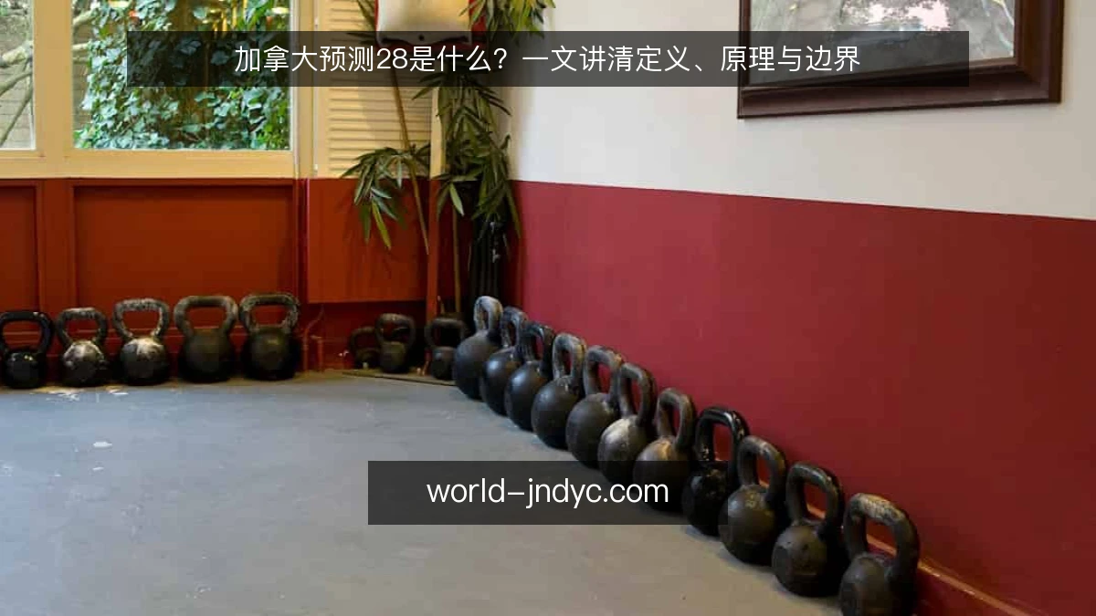 加拿大预测28是什么？一文讲清定义、原理与边界