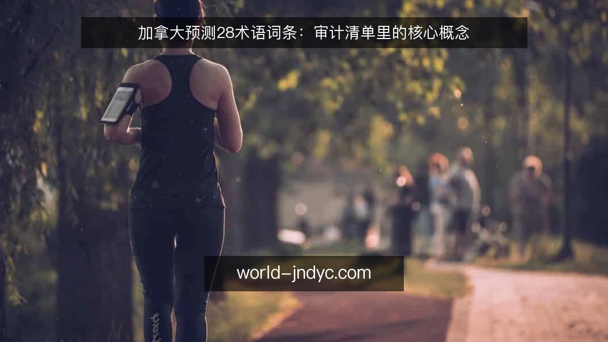 加拿大预测28术语词条：审计清单里的核心概念