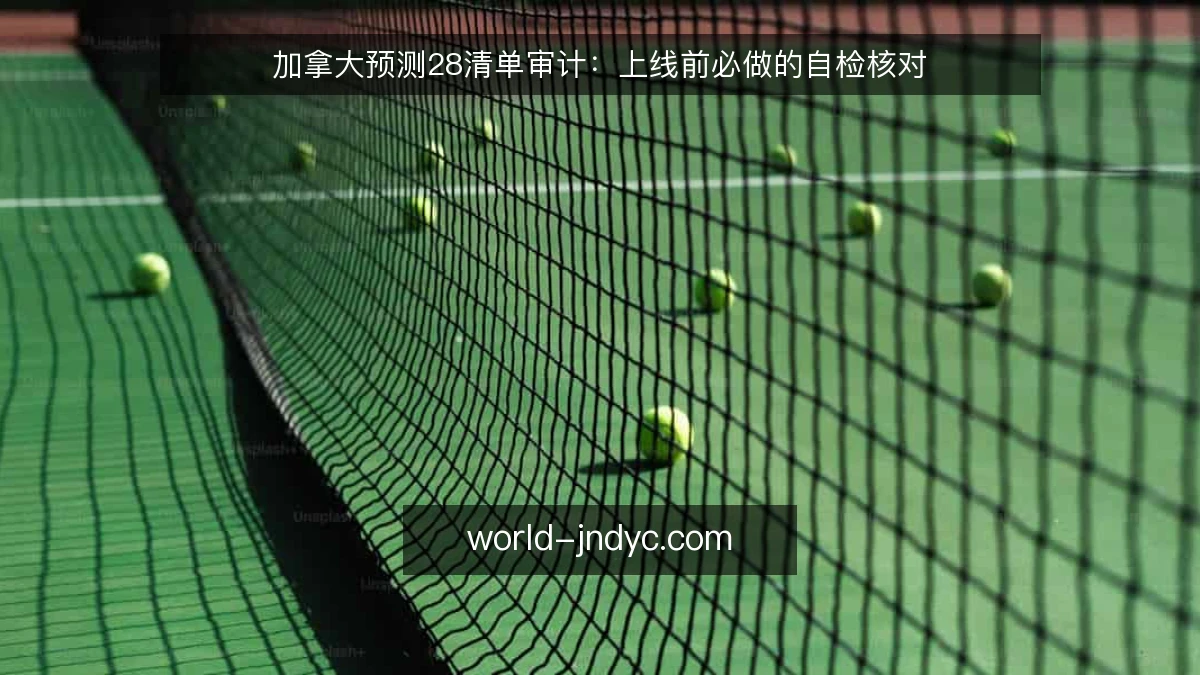 加拿大预测28清单审计:上线前必做的自检核对